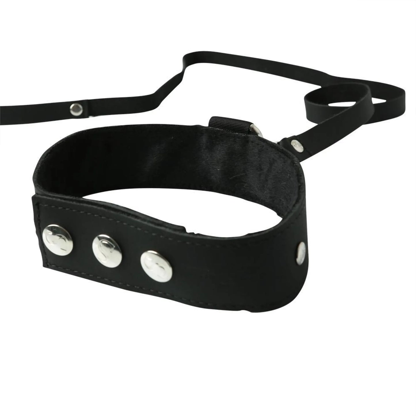 PREMIUM LEATHER LEASH & COLLAR